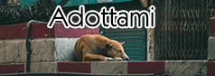 Adottami